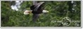 /album/photogallery/aigle1-jpg/